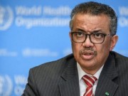 الصحة العالمية: خروج مستشفيات غزة عن الخدمة له عواقب وخيمة