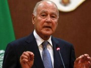 أبو الغيط: القمة العربية في بغداد فرصة لوقف النزيف الفلسطيني