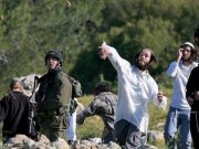 الاحتلال يحتجز مواطنا أثناء رعيه الماشية في الأغوار الشمالية