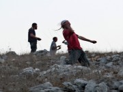 مركز بيتسيلم: ازدياد وتيرة عنف الاحتلال ومستوطنيه في الضفة الفلسطينية