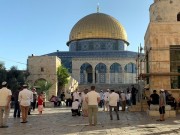 بالفيديو || عشرات المستوطنين يؤدون طقوسا تلمودية في باحات "الأقصى"