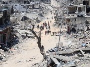 الحكومة الألمانية: التطورات في غزة مثيرة للقلق ونرغب في وقف إطلاق نار بأسرع وقت