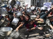 الأمم المتحدة: عدد الوجبات اليومية المقدمة للمواطنين في قطاع غزة انخفض 70%