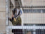 الاحتلال يواصل اعتقال أسيرتين حامل بشهرهما الخامس