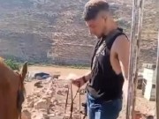 بالفيديو || مستوطنون يعتدون على ممتلكات المواطنين في الخليل واريحا