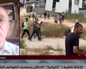 خيانة أممية ودمار شامل.. غزة تحت رحمة المجازر والإعدامات الميدانية