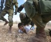 الاحتلال يعتقل طفلين خلال اقتحامها بلدة عناتا شمال شرق القدس المحتلة