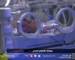 جريمة بشعة.. الاحتلال يقتل الأطفال حديثي الولادة في غزة بدم بارد