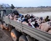 إسرائيل تفرج عن نحو 80 معتقلا فلسطينيا من قطاع غزة