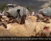 من خيمة إلى العراء.. الاحتلال يهدم مساكن أبو عرام والمواطنين في الأغوار