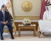 الرئيس المصري وأمير قطر يؤكدان ضرورة دعم خطة إعمار غزة دون تهجير الفلسطينيين