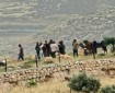 إصابة مواطنين باعتداء مستوطنين في بيت لحم