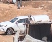 مستوطنون يقتحمون تجمع عرب المليحات شمال أريحا
