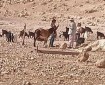 مستوطنون يقتحمون تجمع شلال العوجا شمال أريحا