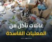أعداد كبيرة من العائلات تأكل من المعلبات منتهية الصلاحية