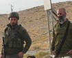 بالصور || مستوطنون يخربون أشجارًا مثمرة ومزروعات جنوب الخليل