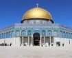 "علماء فلسطين": محاولة ذبح قربان في الأقصى انتهاك خطير لقدسية المسجد