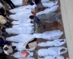 شهداء ومصابون إثر قصف الاحتلال خيمة تؤوي نازحين في مواصي خان يونس