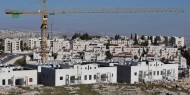 مقررة أممية تُحذّر من تطهير عرقي جماعي في الضفة الفلسطينية