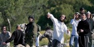 الاحتلال يحتجز مواطنا أثناء رعيه الماشية في الأغوار الشمالية