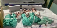 الأطفال الخدج في غزة يواجهون خطر الموت بسبب انهيار القطاع الصحي